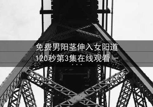 免费男阳茎伸入女阳道120秒第3集在线观看 - 揭秘那120秒背后的惊天秘密