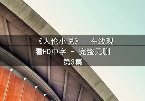 《人伦小说》- 在线观看HD中字 - 完整无删第3集